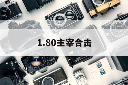 1.80主宰合击