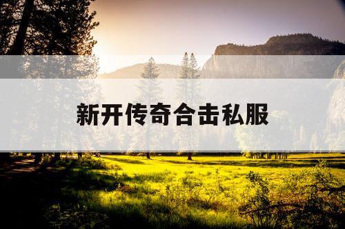 新开传奇合击私服