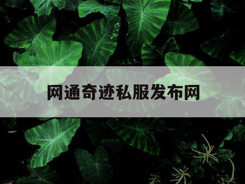 网通奇迹私服发布网