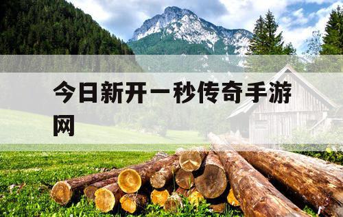 今日新开一秒传奇手游网