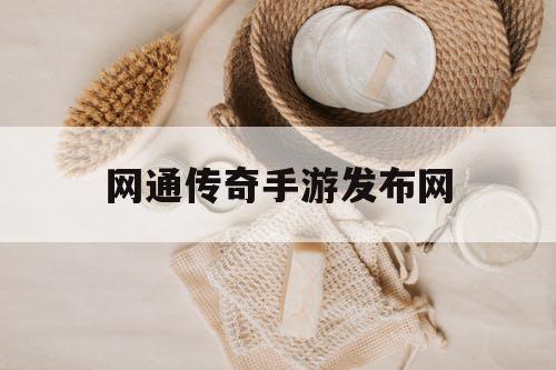 网通传奇手游发布网
