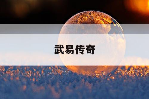 武易传奇