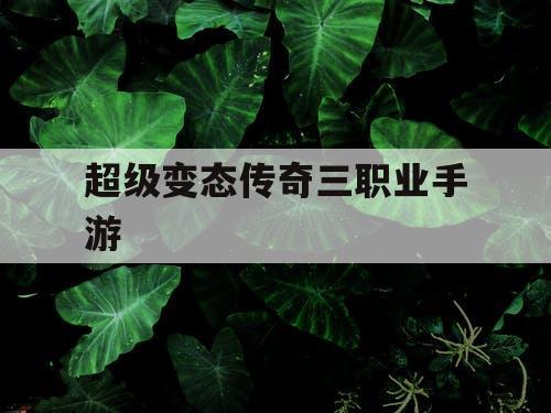 超级变态传奇三职业手游