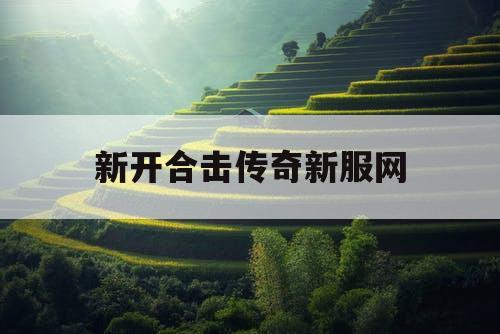 新开合击传奇新服网