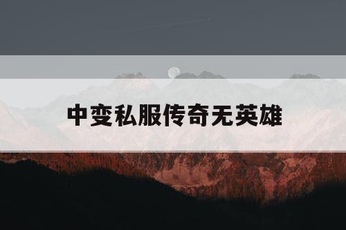 中变私服传奇无英雄