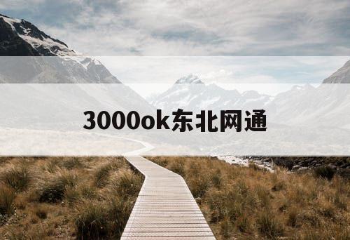 3000ok东北网通