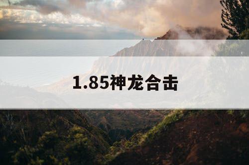 1.85神龙合击