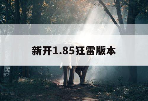 新开1.85狂雷版本