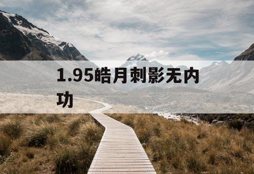 1.95皓月刺影无内功