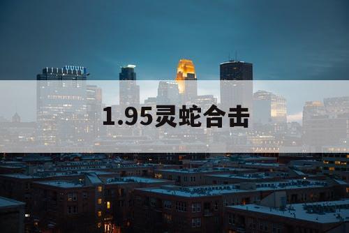 1.95灵蛇合击