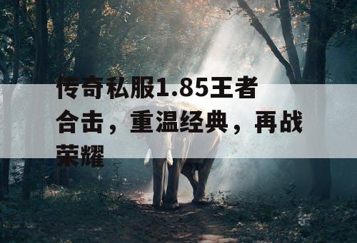 传奇私服1.85王者合击，重温经典，再战荣耀