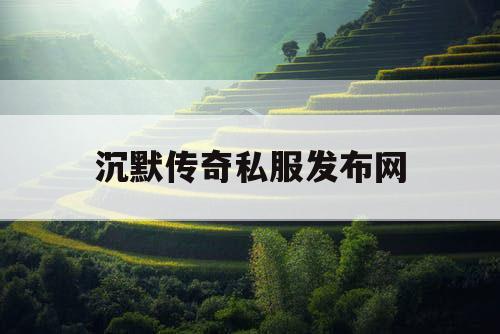 沉默传奇私服发布网