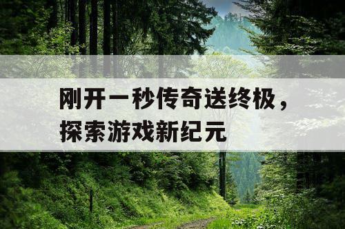 刚开一秒传奇送终极，探索游戏新纪元