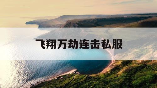 飞翔万劫连击私服