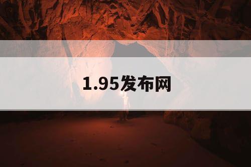 1.95发布网