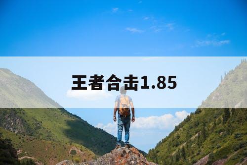 王者合击1.85