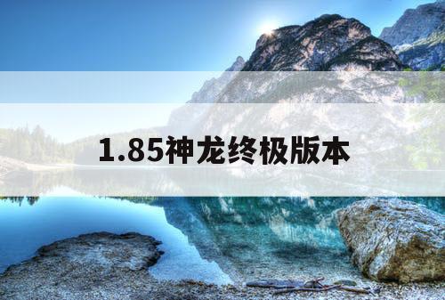1.85神龙终极版本