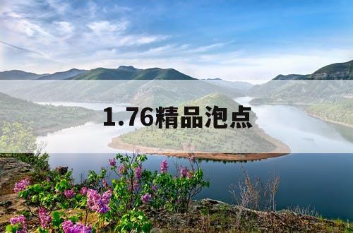 1.76精品泡点