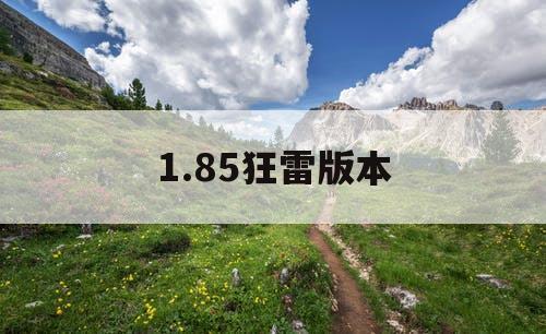 1.85狂雷版本