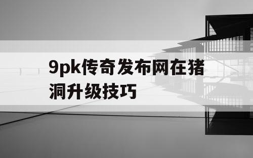 9pk传奇发布网在猪洞升级技巧