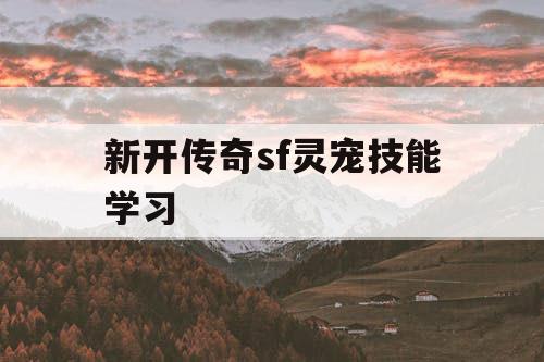 新开传奇sf灵宠技能学习