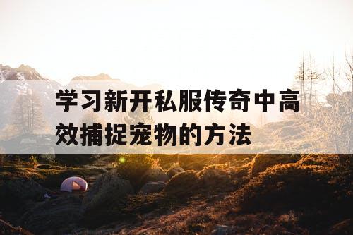 学习新开私服传奇中高效捕捉宠物的方法