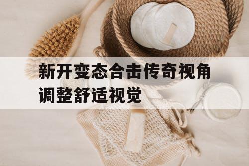 新开变态合击传奇视角调整舒适视觉