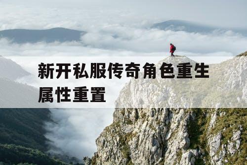 新开私服传奇角色重生属性重置