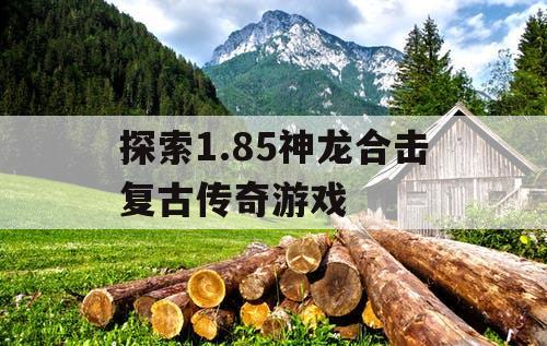 探索1.85神龙合击复古传奇游戏