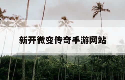 新开微变传奇手游网站