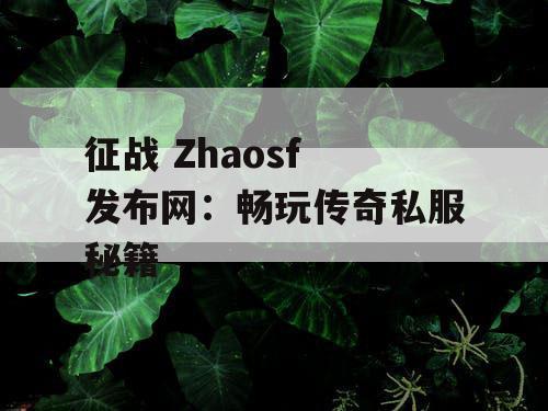 征战 Zhaosf 发布网：畅玩传奇私服秘籍