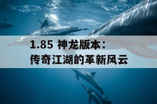1.85 神龙版本：传奇江湖的革新风云