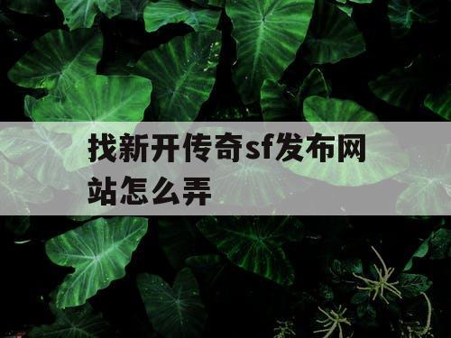 找新开传奇sf发布网站怎么弄