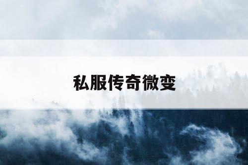 私服传奇微变