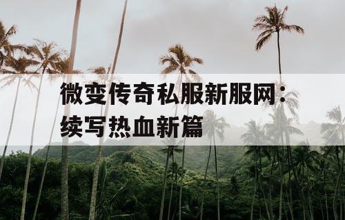 微变传奇私服新服网：续写热血新篇