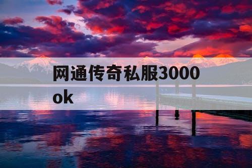 网通传奇私服3000ok