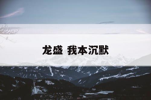龙盛 我本沉默