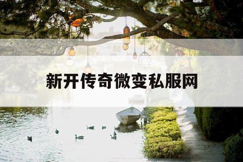 新开传奇微变私服网