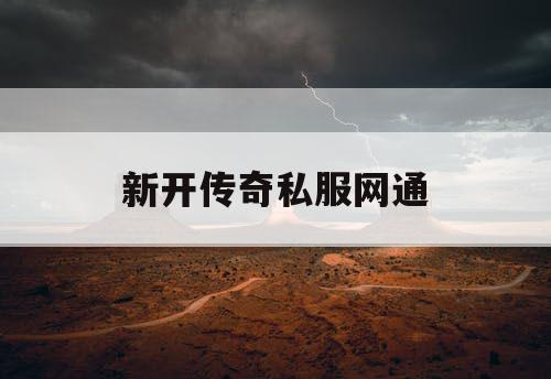新开传奇私服网通