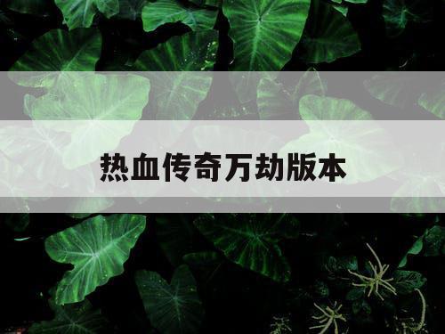 热血传奇万劫版本