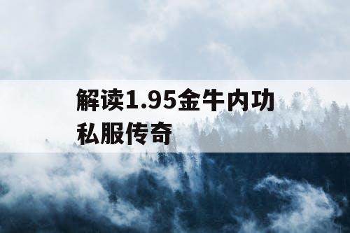 解读1.95金牛内功私服传奇