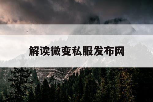 解读微变私服发布网