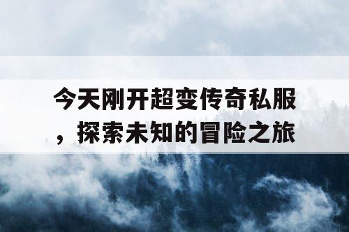 今天刚开超变传奇私服，探索未知的冒险之旅