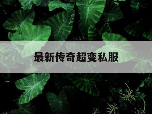 最新传奇超变私服