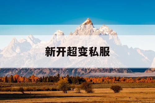 新开超变私服