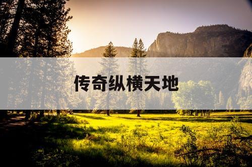 传奇纵横天地