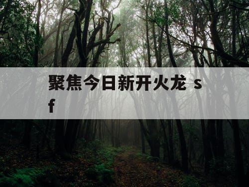聚焦今日新开火龙 sf