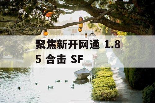聚焦新开网通 1.85 合击 SF