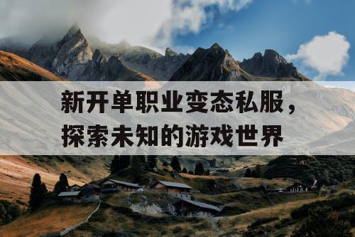 新开单职业变态私服，探索未知的游戏世界