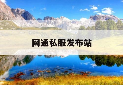 网通私服发布站
